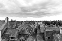 IMG_1181.jpg