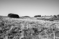 les vastres-6867.jpg