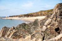 Plage de la mine d'or-4481.jpg