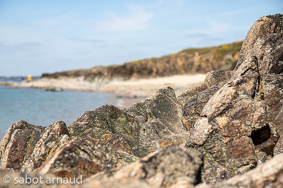 Plage de la mine d'or-4481.jpg