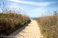 Plage de la mine d'or-4474.jpg