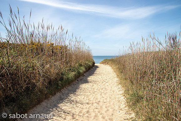Plage de la mine d'or-4474.jpg