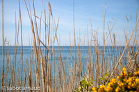 Plage de la mine d'or-4534.jpg