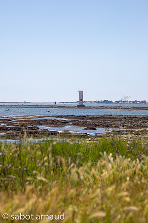 Damgan-7173.jpg