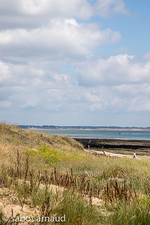 Damgan-8765.jpg