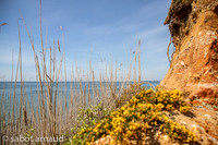 Plage de la mine d'or-4536.jpg