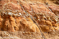 Plage de la mine d'or-4516.jpg
