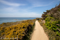 Plage de la mine d'or-4471.jpg