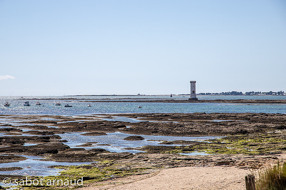 Damgan-7177.jpg