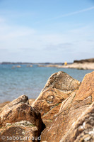 Plage de la mine d'or-4479.jpg
