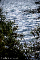 Iles Berder-0538.jpg