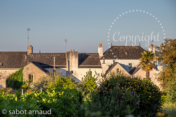 Larmor Baden-7812.jpg