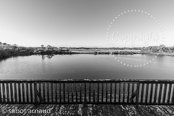 Larmor Baden-0591.jpg