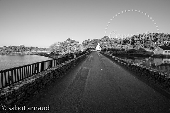 Larmor Baden-0588.jpg