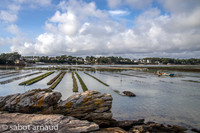 Iles Berder-0148.jpg