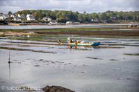 Larmor Baden