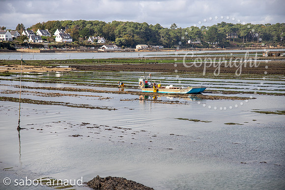 Iles Berder-0145.jpg
