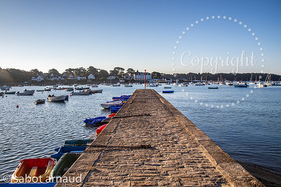 Larmor Baden-7833.jpg