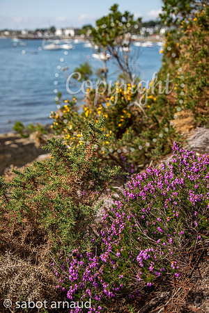 Iles Berder-9321.jpg