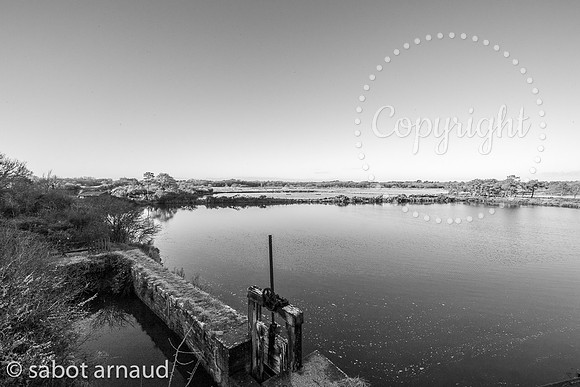 Larmor Baden-0581.jpg
