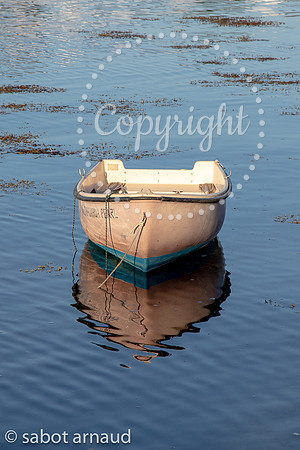 Larmor Baden-7823.jpg