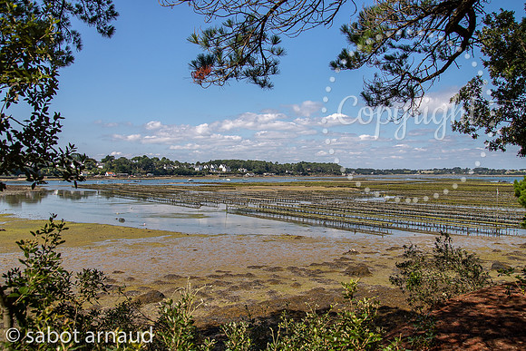 Iles Berder-9312.jpg