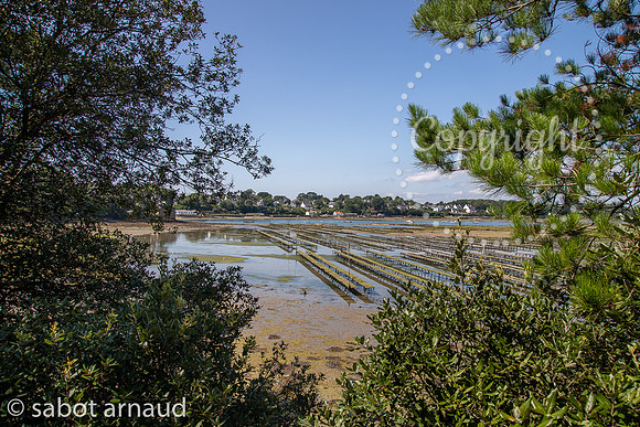 Iles Berder-9314.jpg