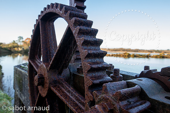 Larmor Baden-0605.jpg