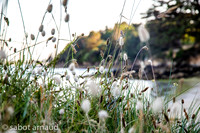 Iles Berder-0478.jpg