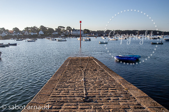 Larmor Baden-7839.jpg