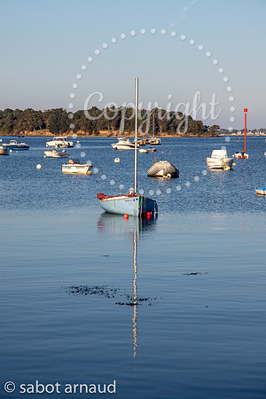 Larmor Baden-7820.jpg