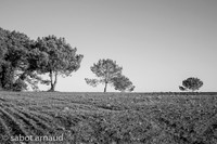 les 7 iles-0648.jpg