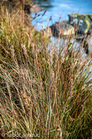 Port Blanc-0493.jpg