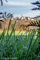 Baden-0699.jpg