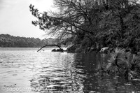 Baden-0037.jpg