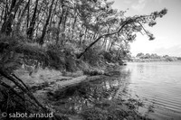Baden-0025.jpg