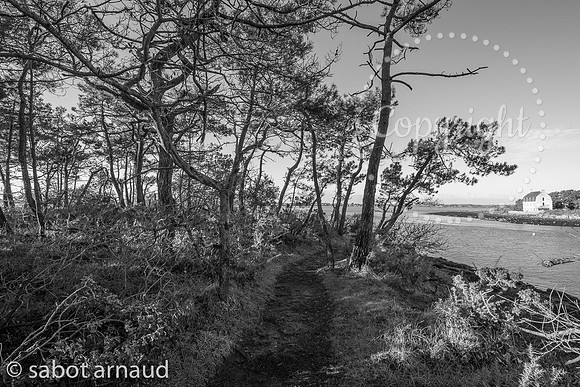 les 7 iles-0628.jpg