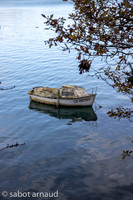 Baden-0057.jpg