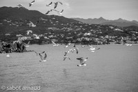 La photo sabotée-2198.jpg