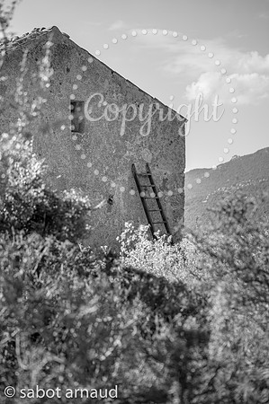 La photo sabotée-3191.jpg