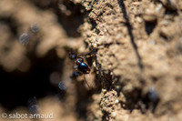 La photo sabotée-3188.jpg