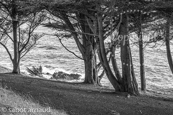 Crouesty-0889.jpg