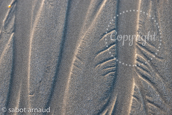 Sarzeau-1138.jpg