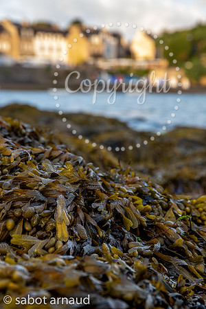 Port navalo-9100.jpg