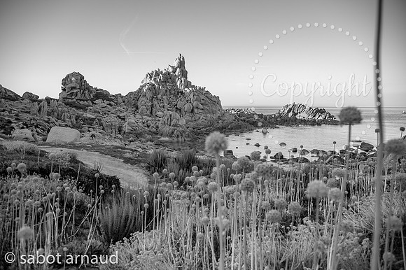 La photo sabotée-4707.jpg